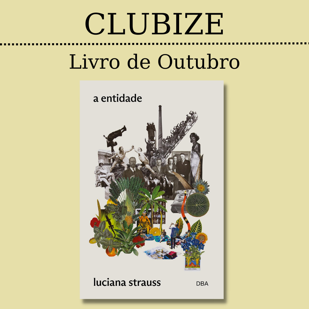 Livro de Maio: Elizabeth Finch, de Julian Barnes