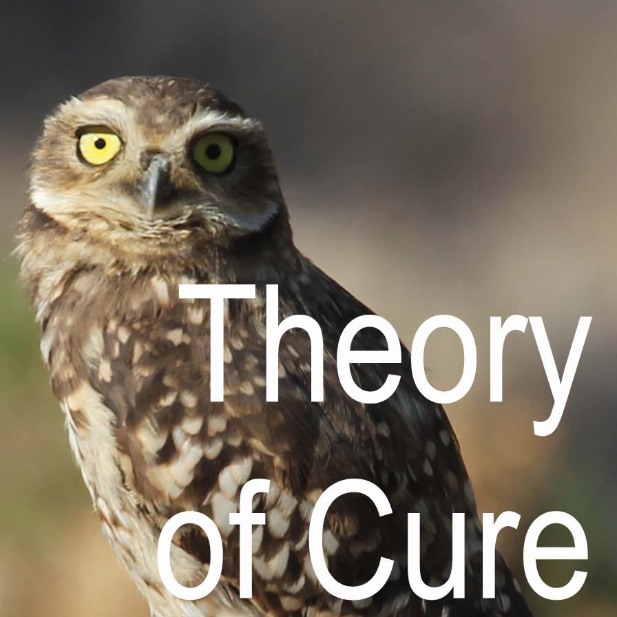 Theory of Cure