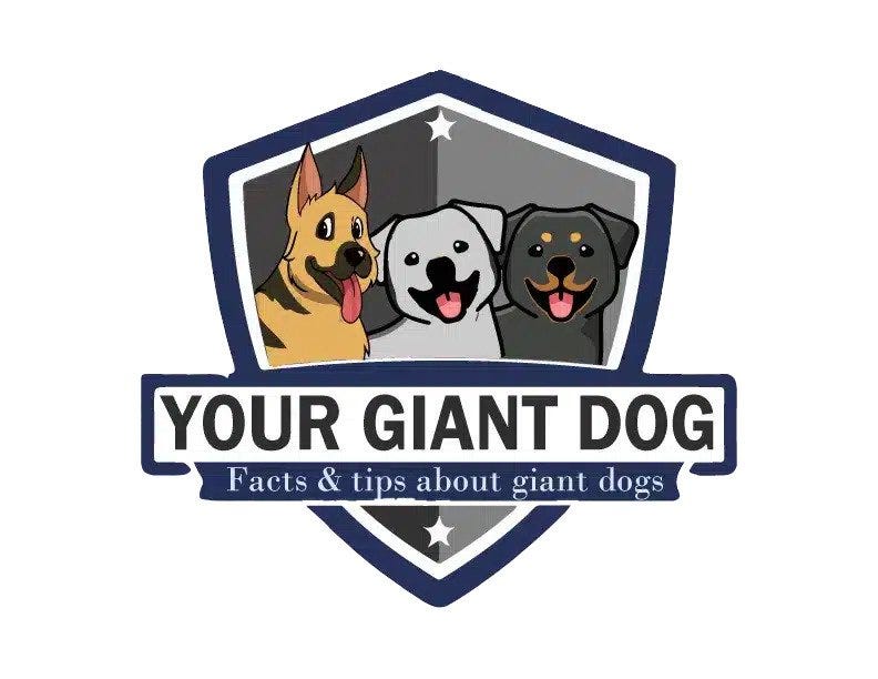 Your giant dog | Substack