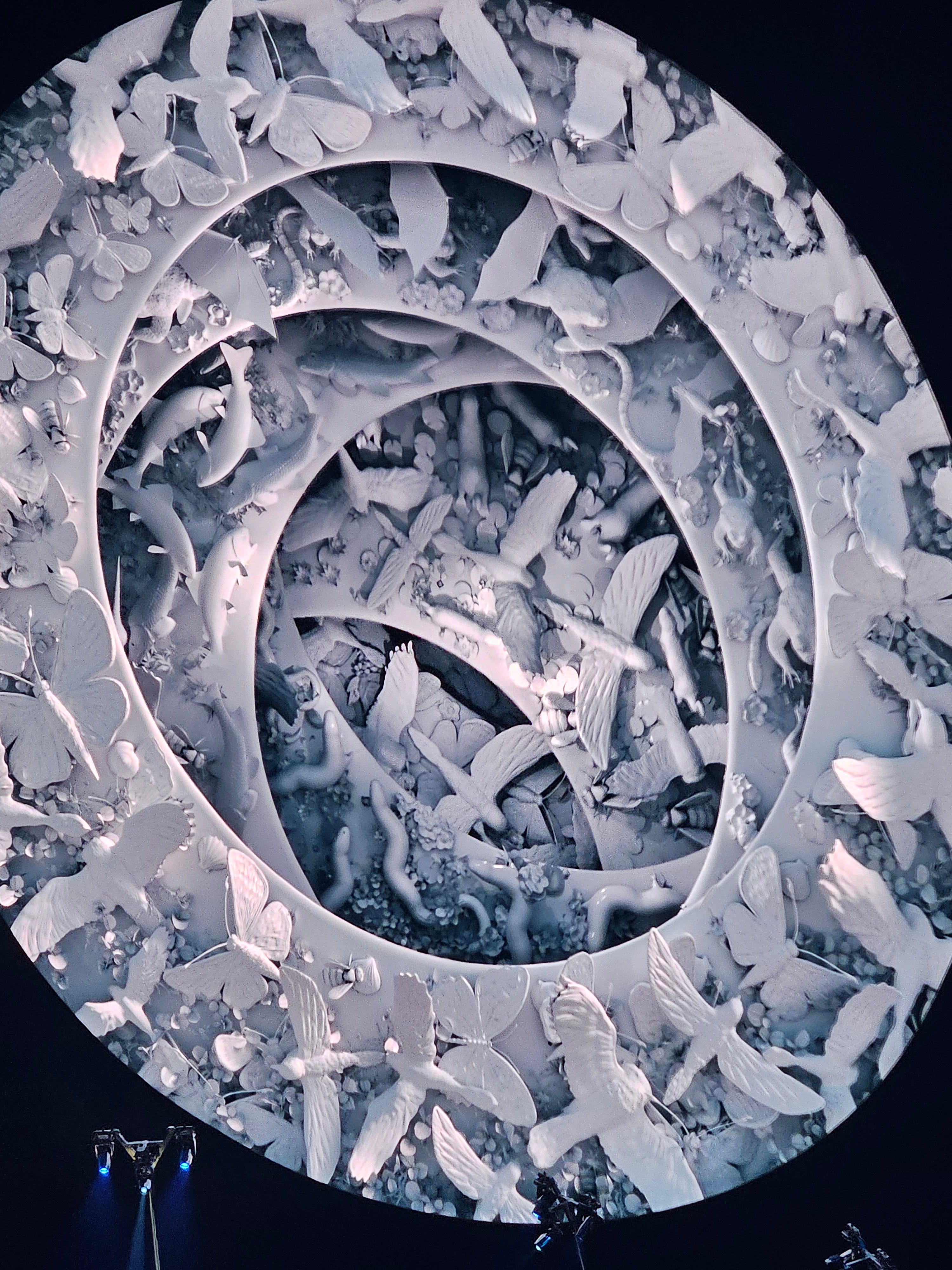 A Year Since the Sphere Where Did It All Go Right?