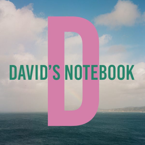 David’s Notebook