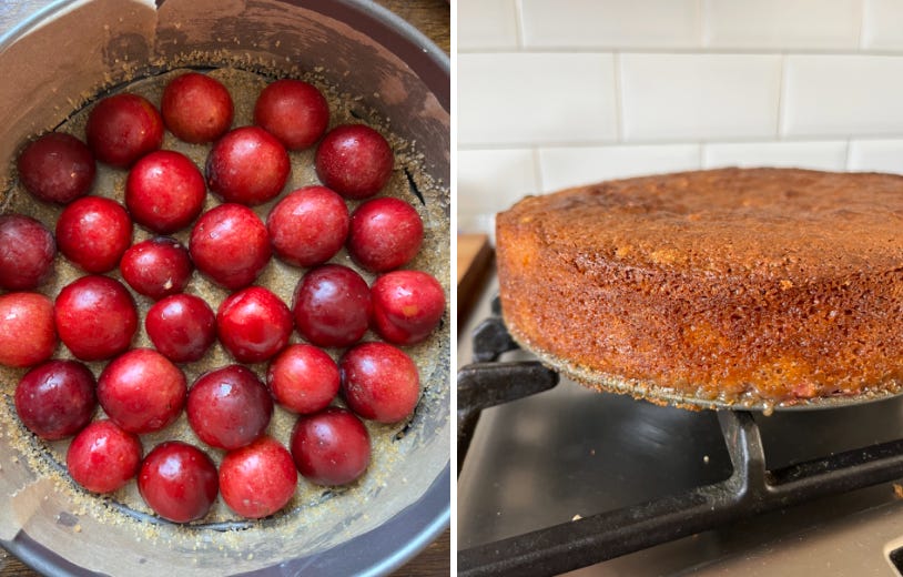 Einkorn Plum Coffee Cake Recipe