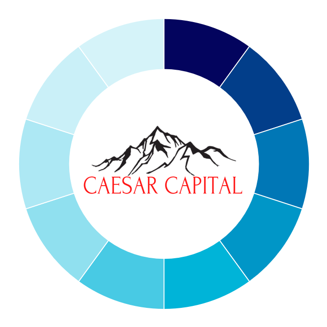 CAESAR CAPITAL  logo