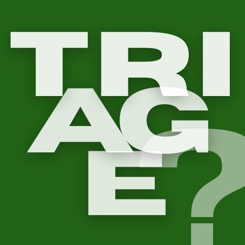 TRIAGE logo