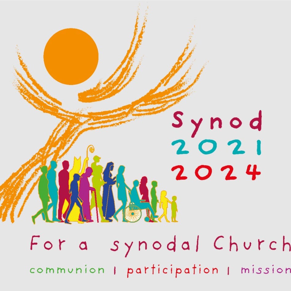 Synodal Reflections