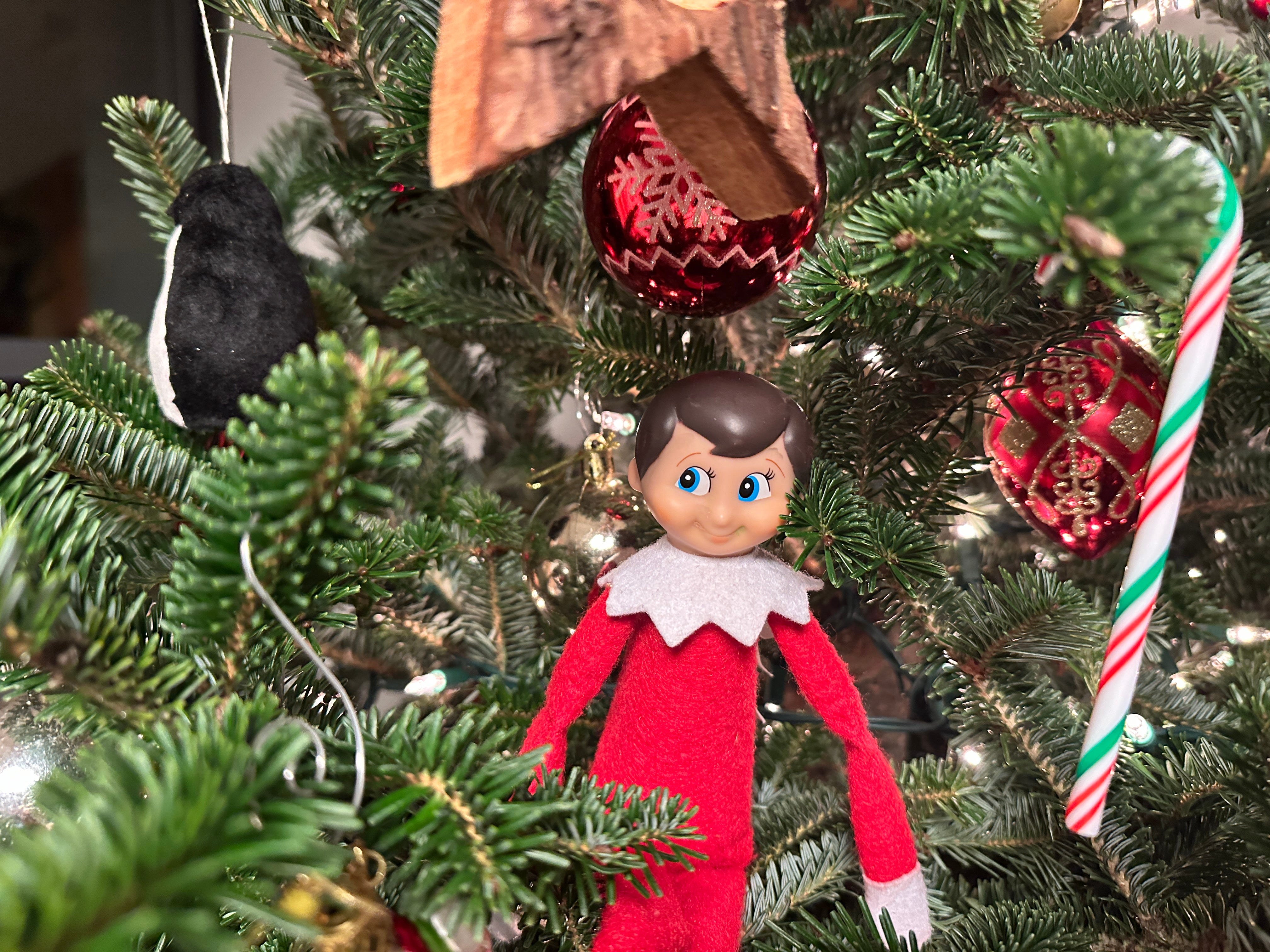 TELL ME ABOUT YOUR ELF ON THE SHELF - by JennyMollen