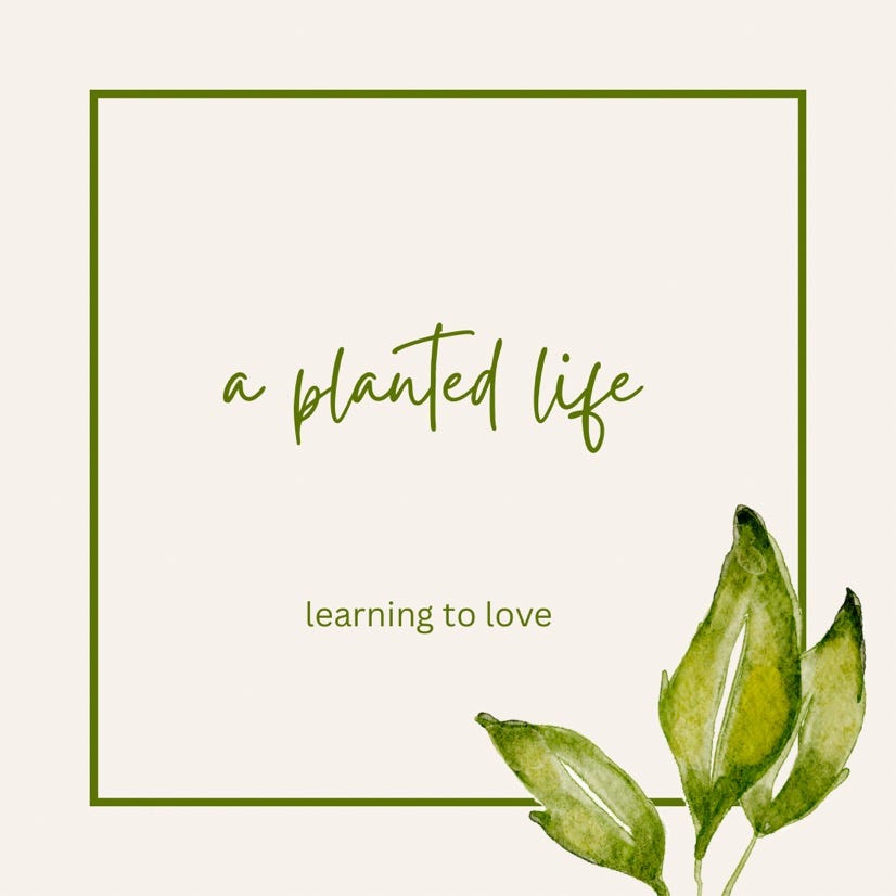 a planted life