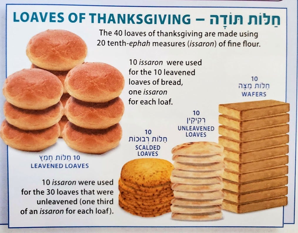Tzav: Korban Todah – Thanking God with a Chametz and Matzah Party