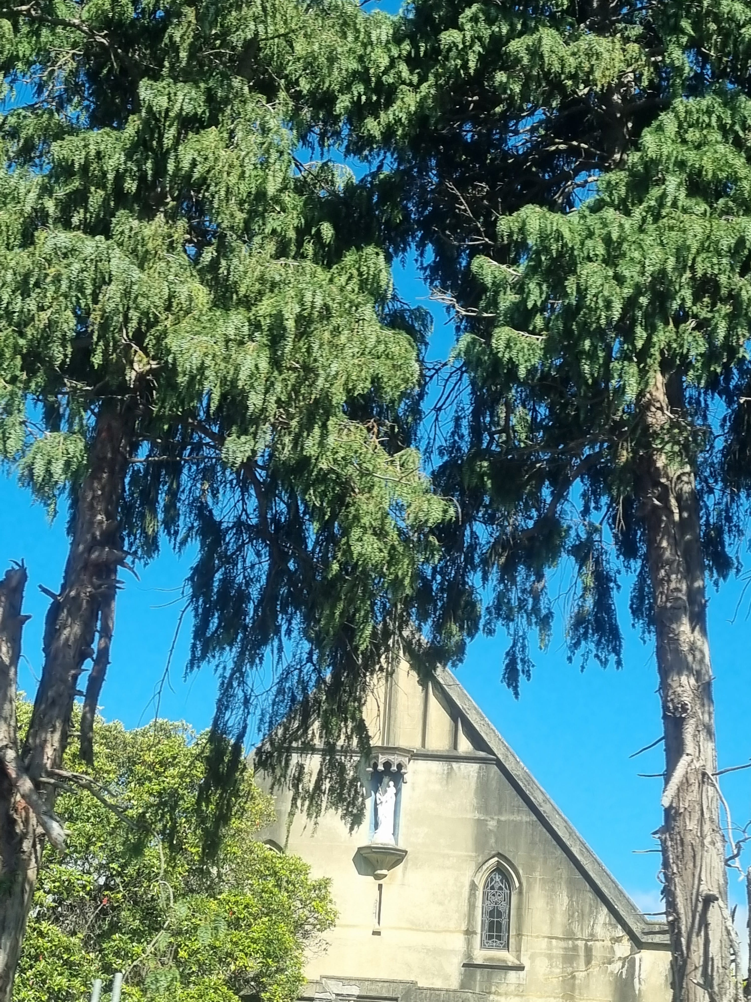 The church sentinel by strange and misguided