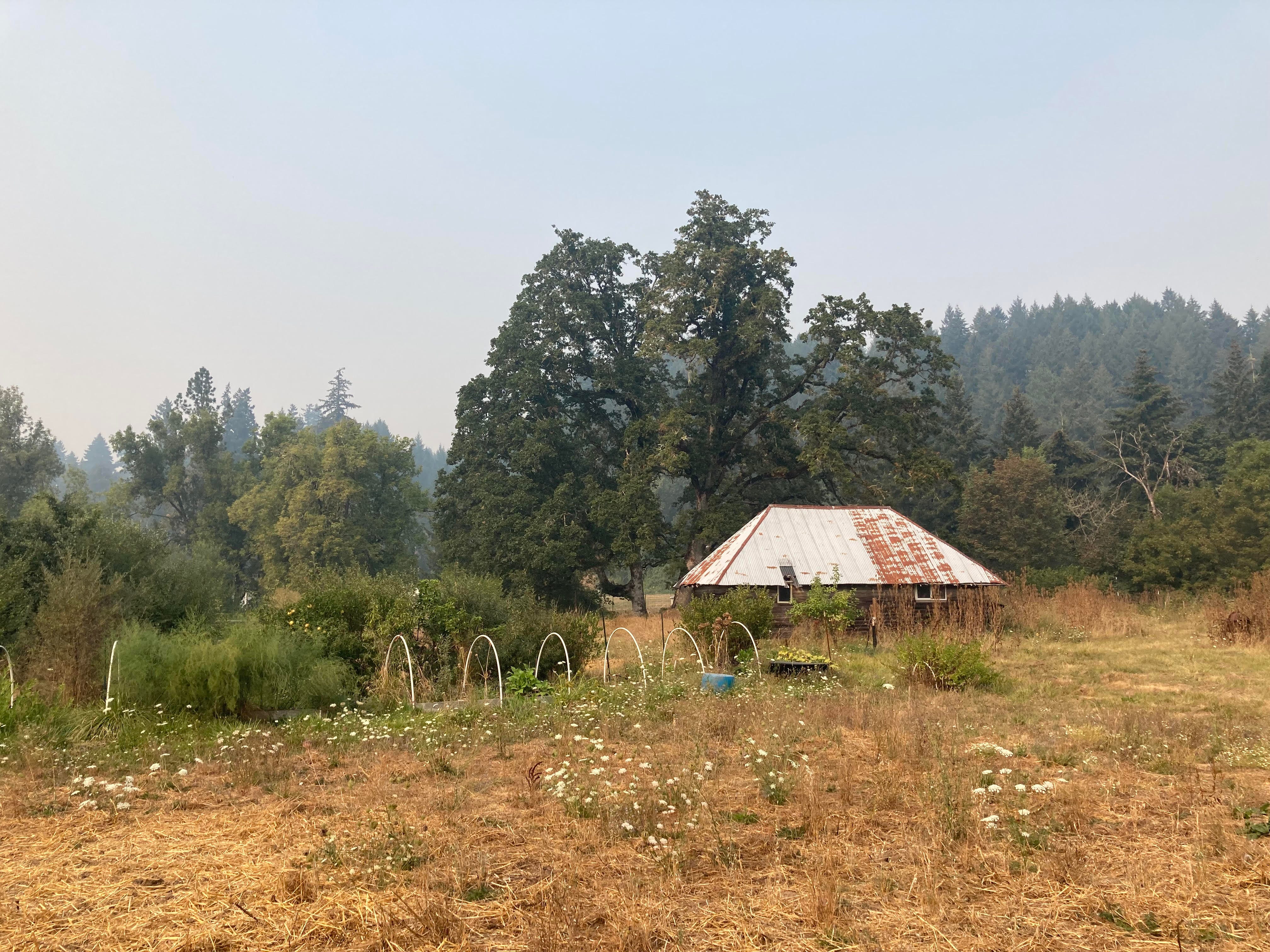 album of the year 2022, pt. 2 by mackenzie may