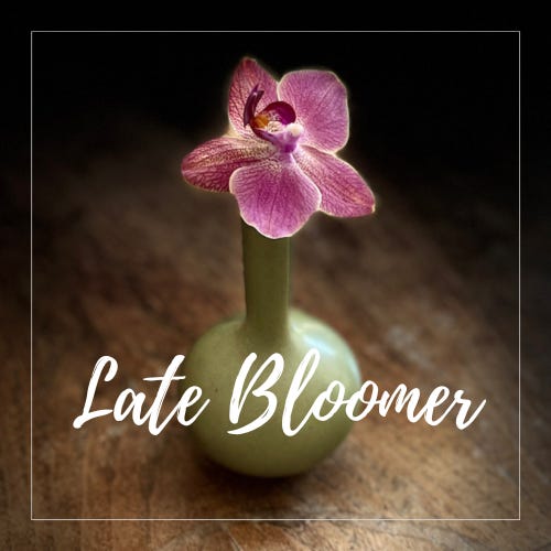 Late Bloomer logo