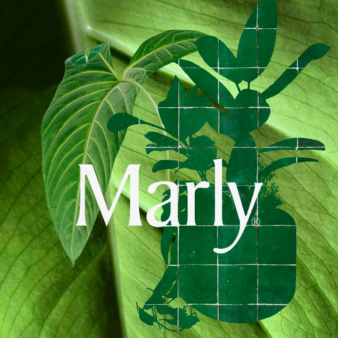 Artwork for Marly's Grower Club \ud83c\udf3f