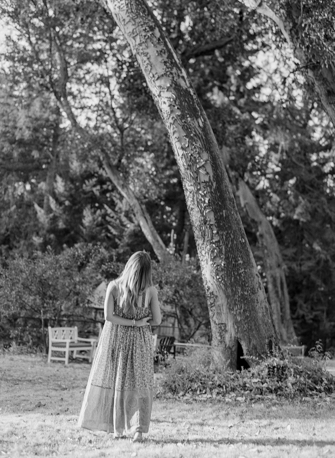 Woman admiring tree.