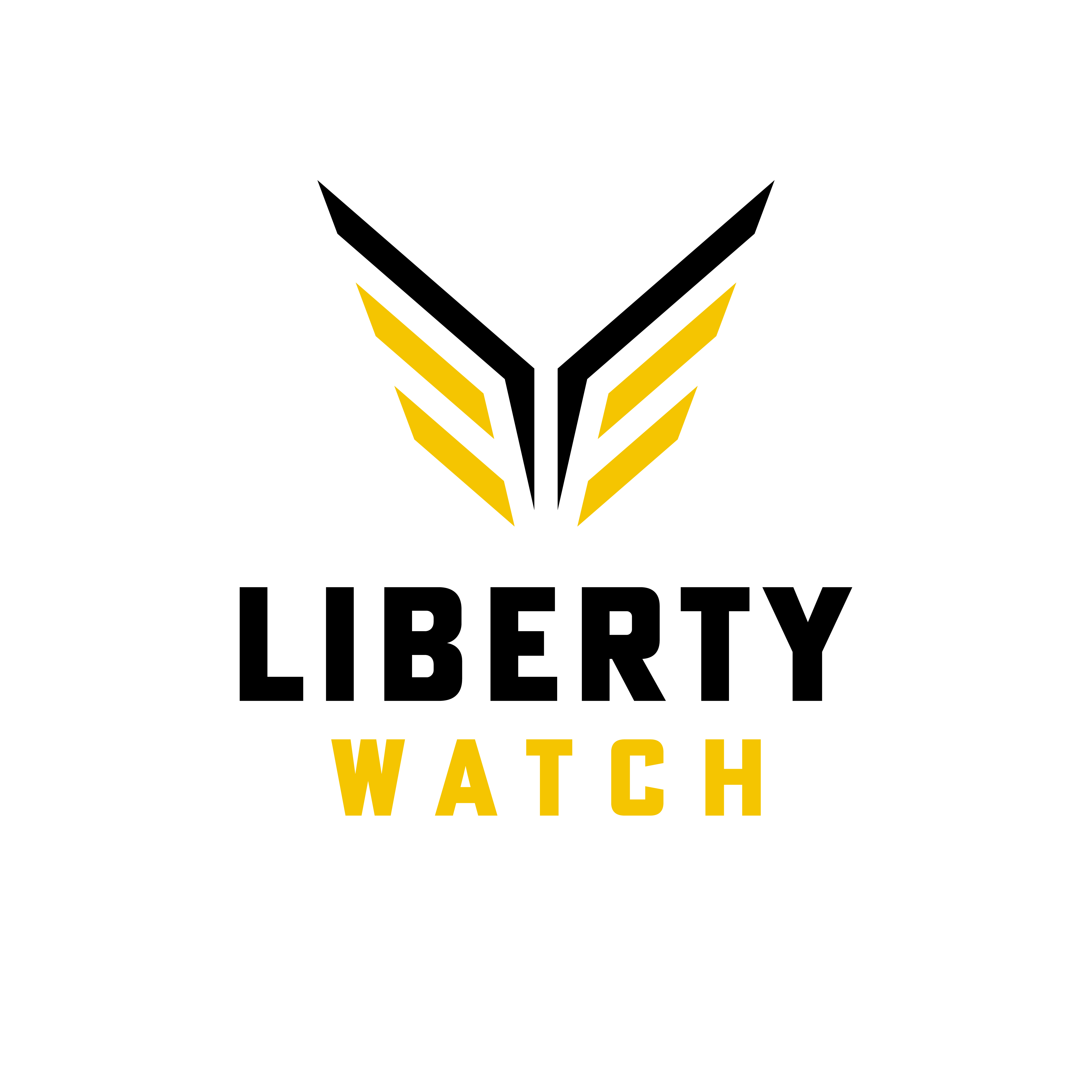 The Liberty Watch Report logo