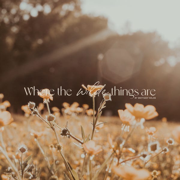Where The Wilde Things Are by Brittany Wilde