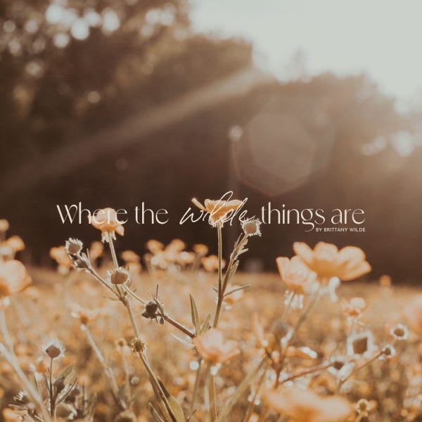 Where The Wilde Things Are by Brittany Wilde logo