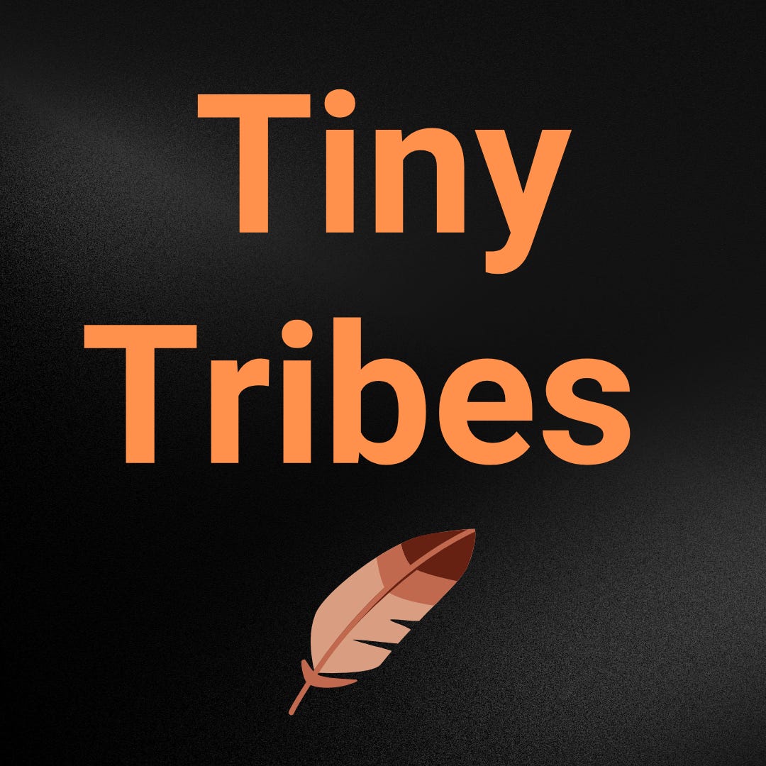 TINY TRIBES 🪶 BIG BUSINESS logo