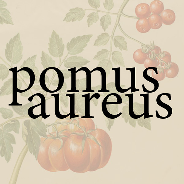 POMUS AUREUS