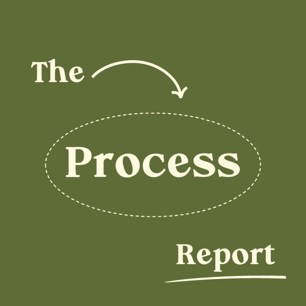 Artwork for The Process Report