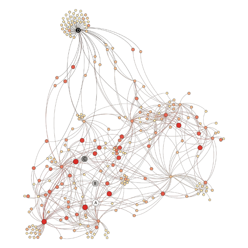 Graph analysis. Визуализация датасета. Визуализация датасет цветы. Famall Network картина.