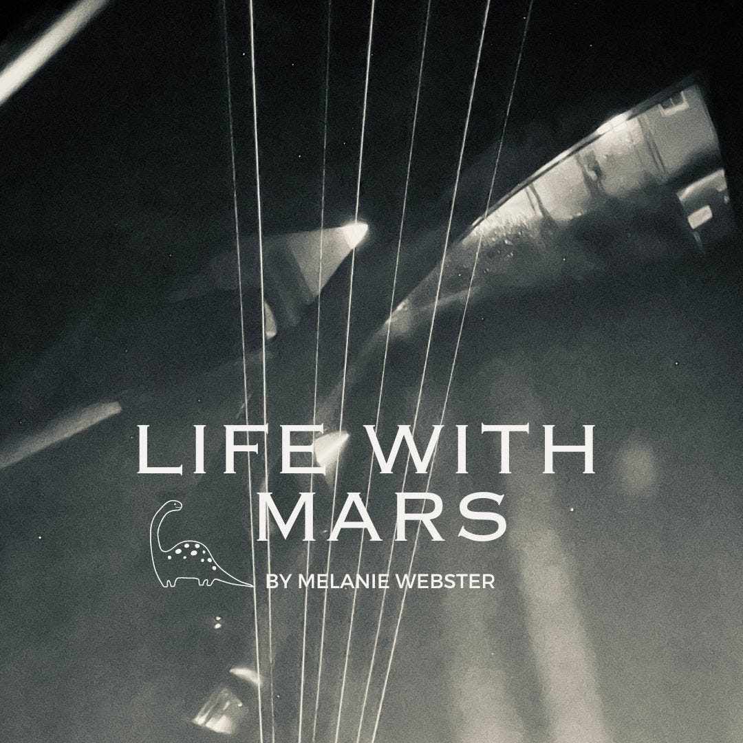 Life with Mars