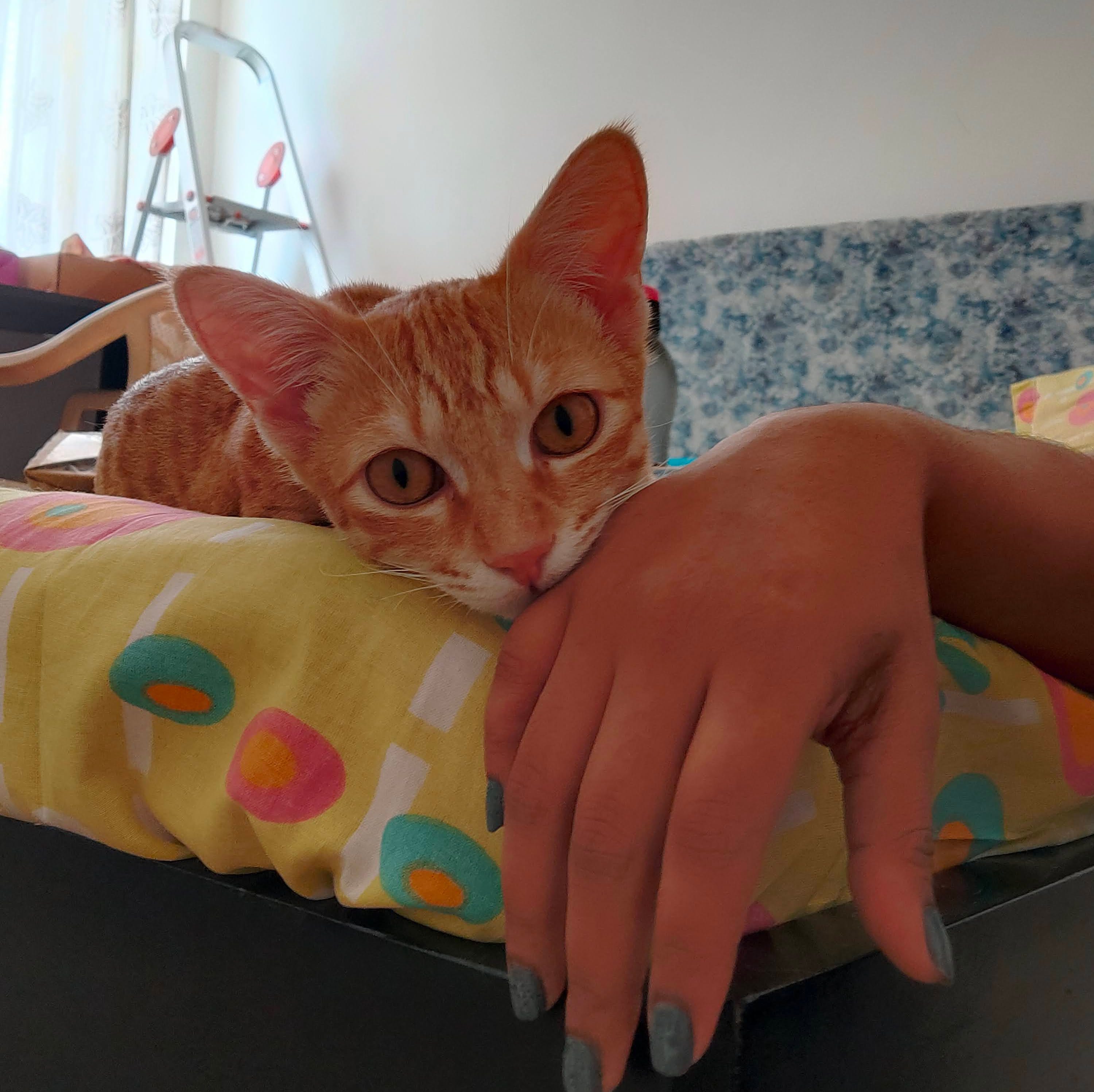 how to write a concluding paragraph for an informative essay?