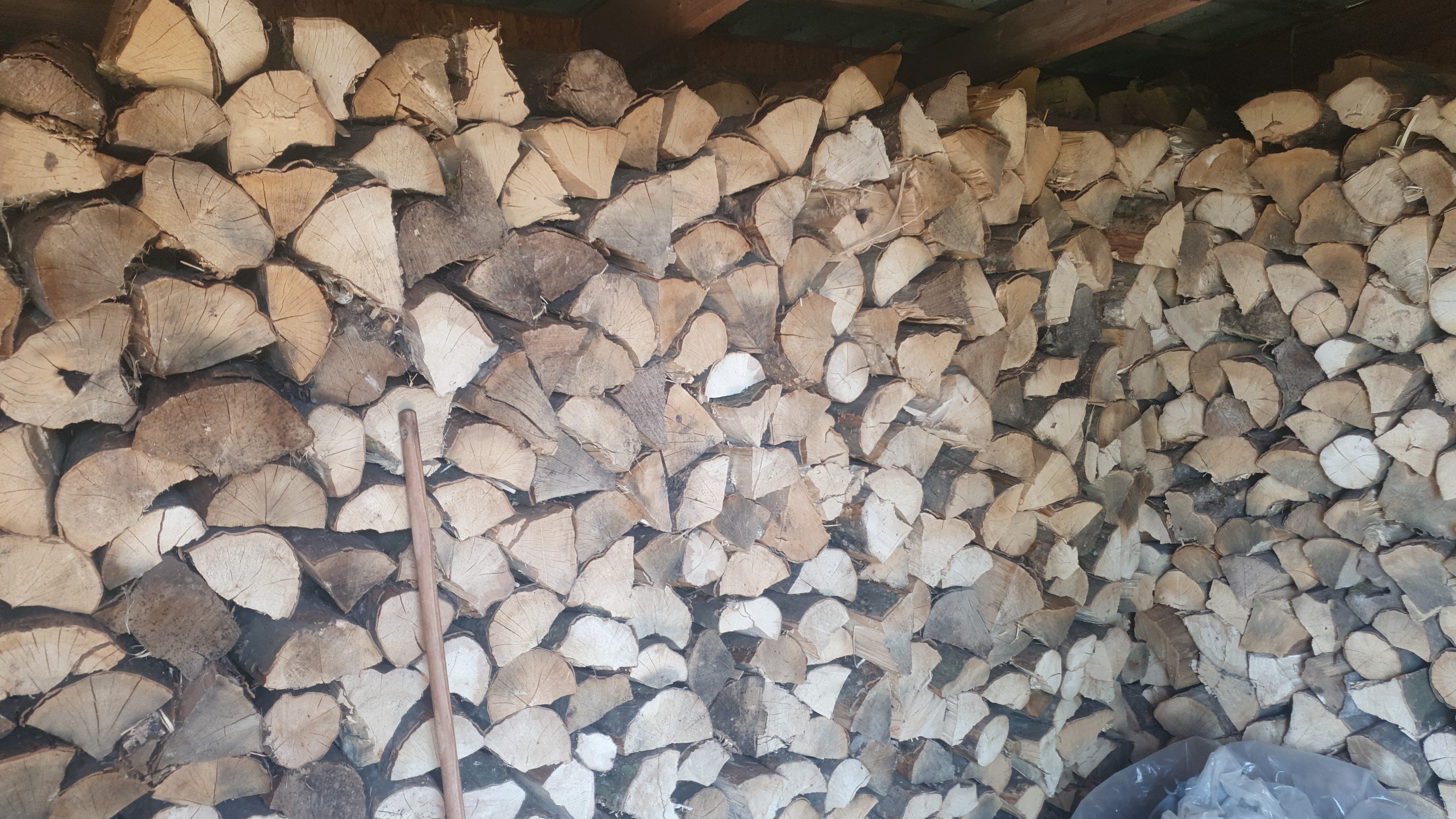 Is it turning colder? Diary of an Organic Grower