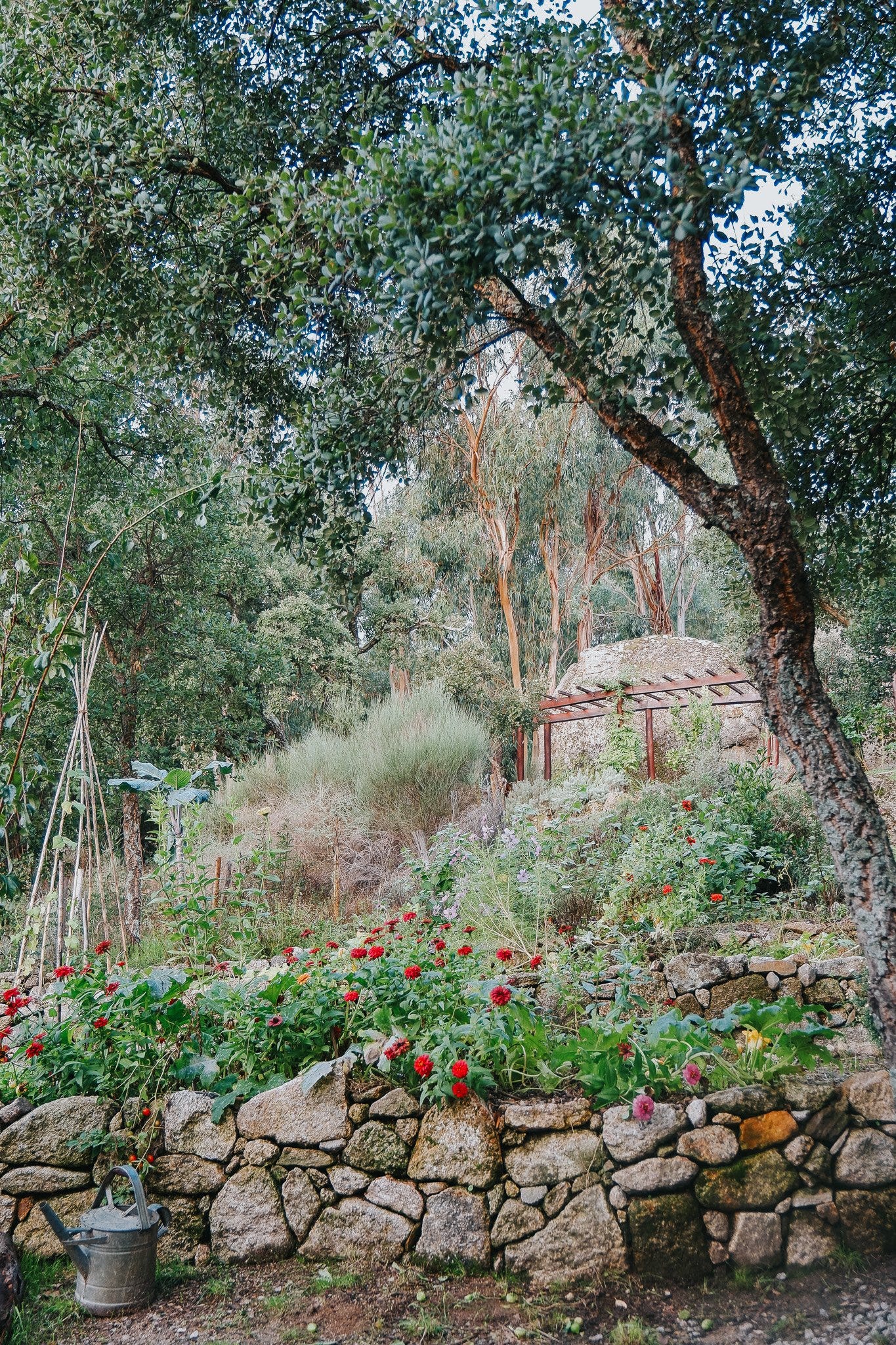 Autumn postcards by Cat transmissions from the hill