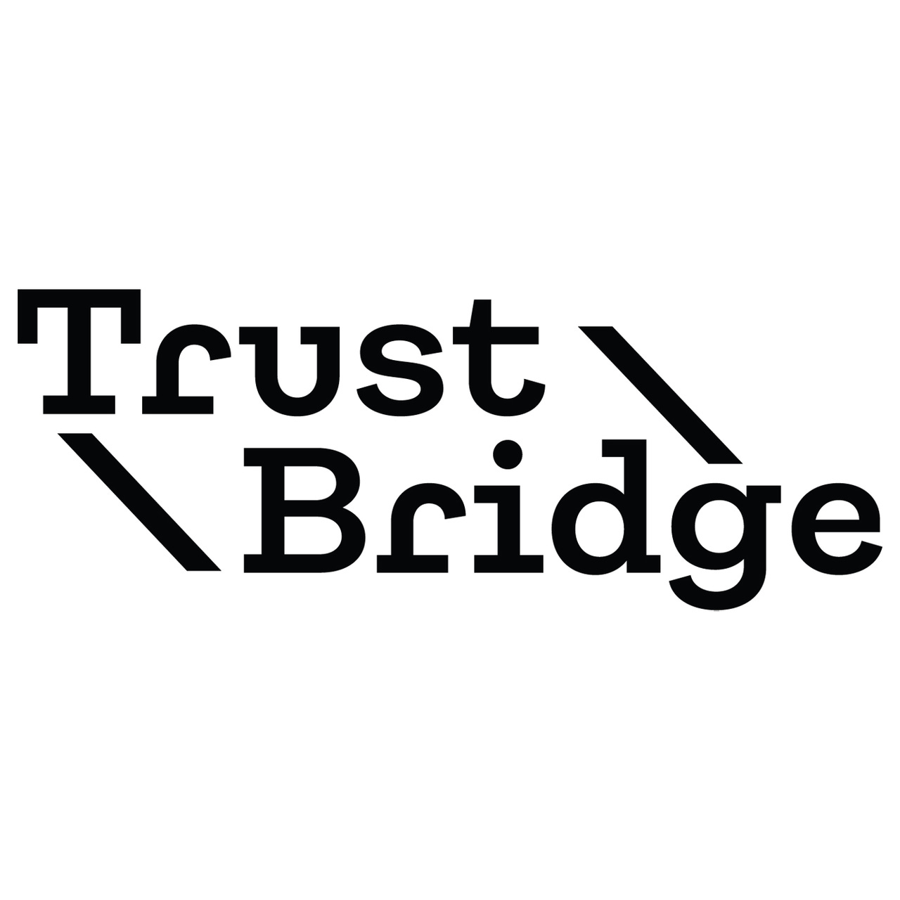 The TrustBridge Newsletter