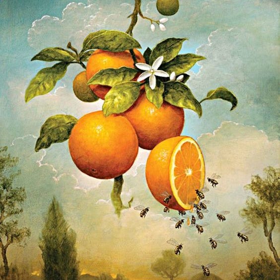 Artwork for The Orange & Bee