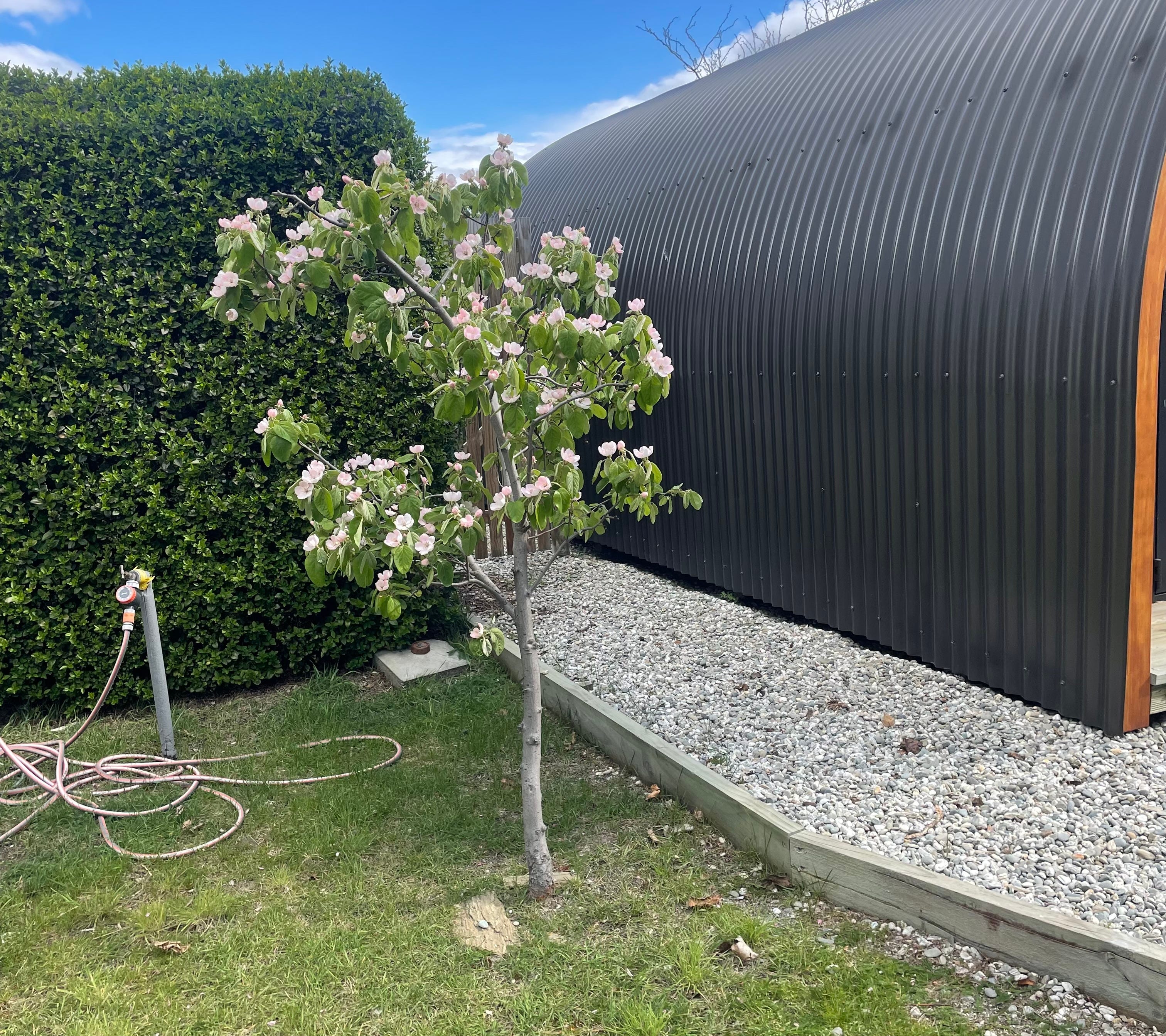 Bereavement, loss, and gardening gifts by Zoe Barry