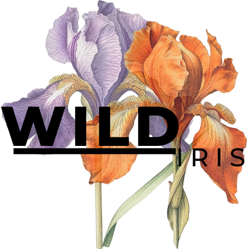 Wild Iris by Carla Anderson