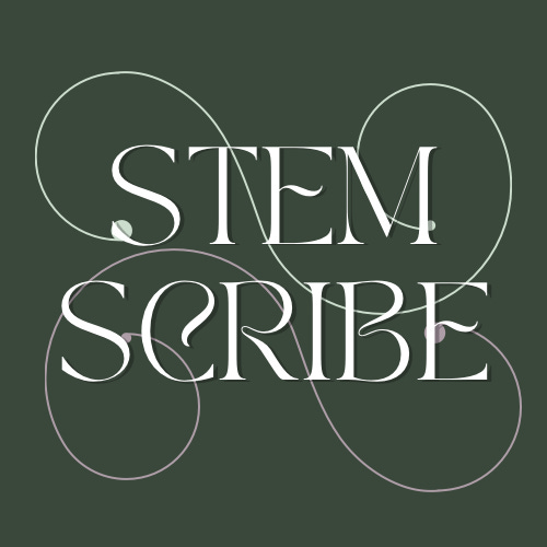 Artwork for STEMScribe