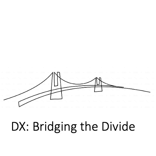Artwork for DX: Bridging the Divide