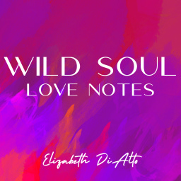 Wild Soul Love Notes logo