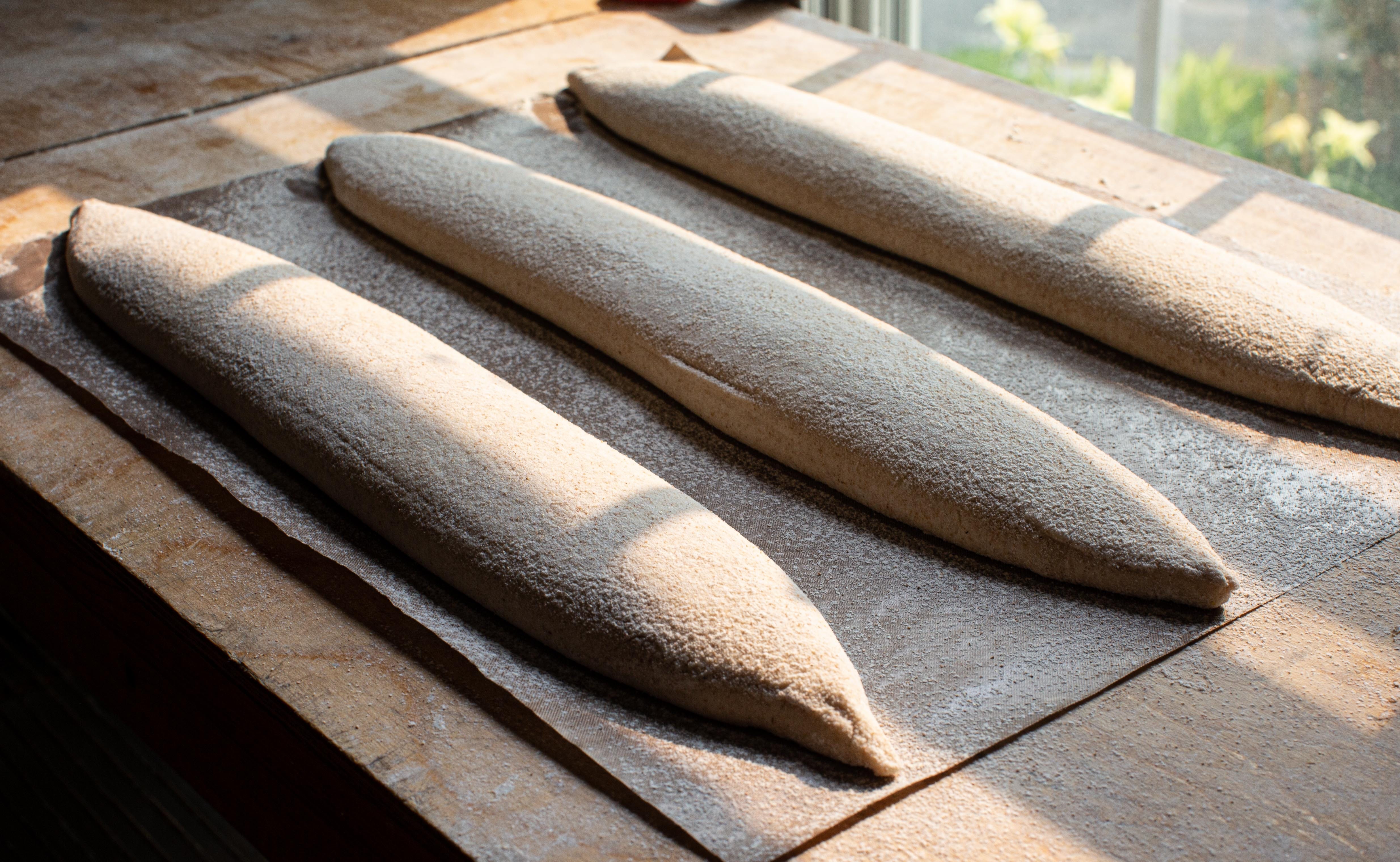 The good baguette - by Martin Philip - The Sassafras Curio