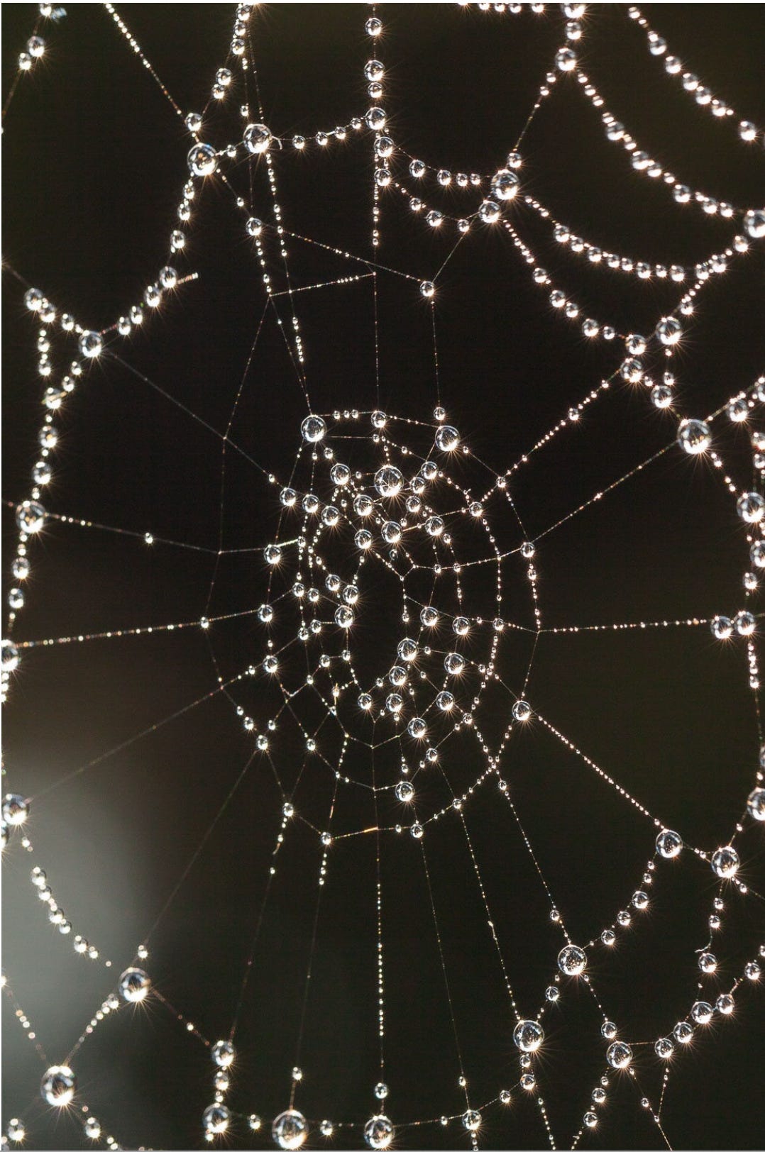 Louise Bourgeois: More than Spiderwoman – findingtimetowrite