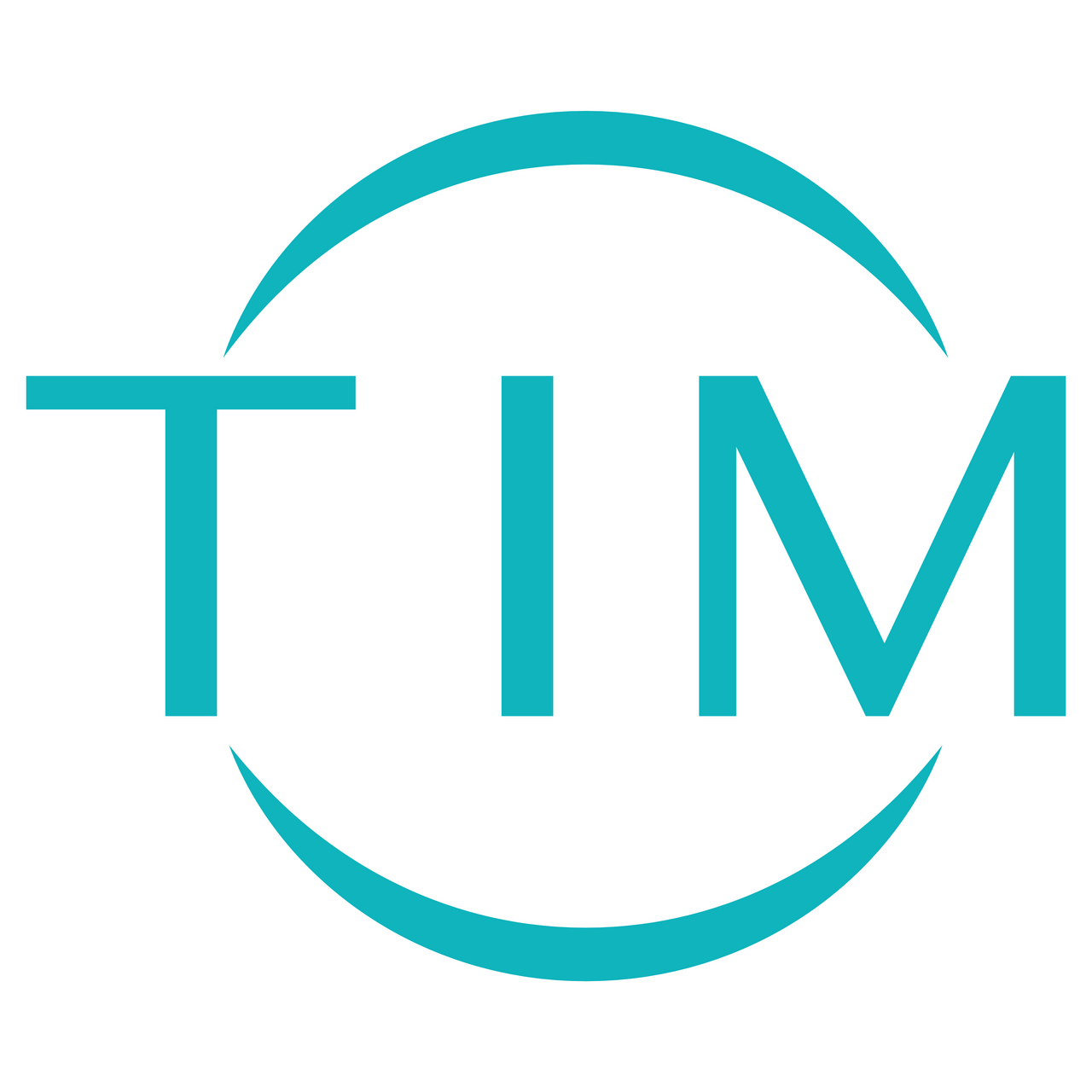 Thin Ice Macroeconomics logo