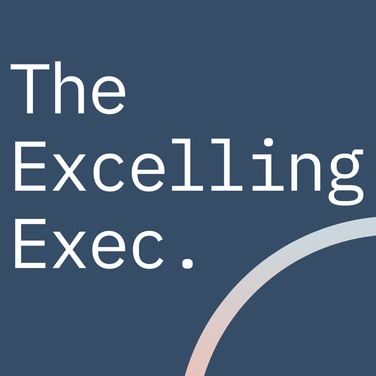 The Excelling Exec. with Kate Snowise