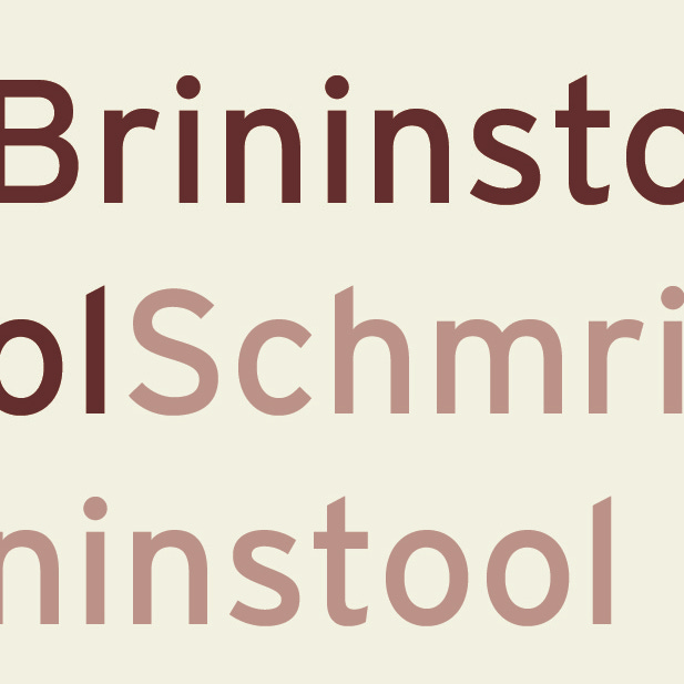 BrininstoolSchmrininstool logo