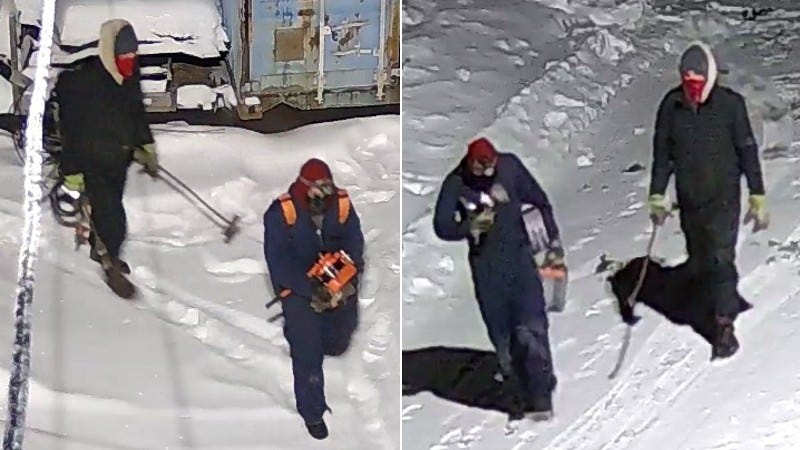 Tips sought on Plaster Rock break-in perps