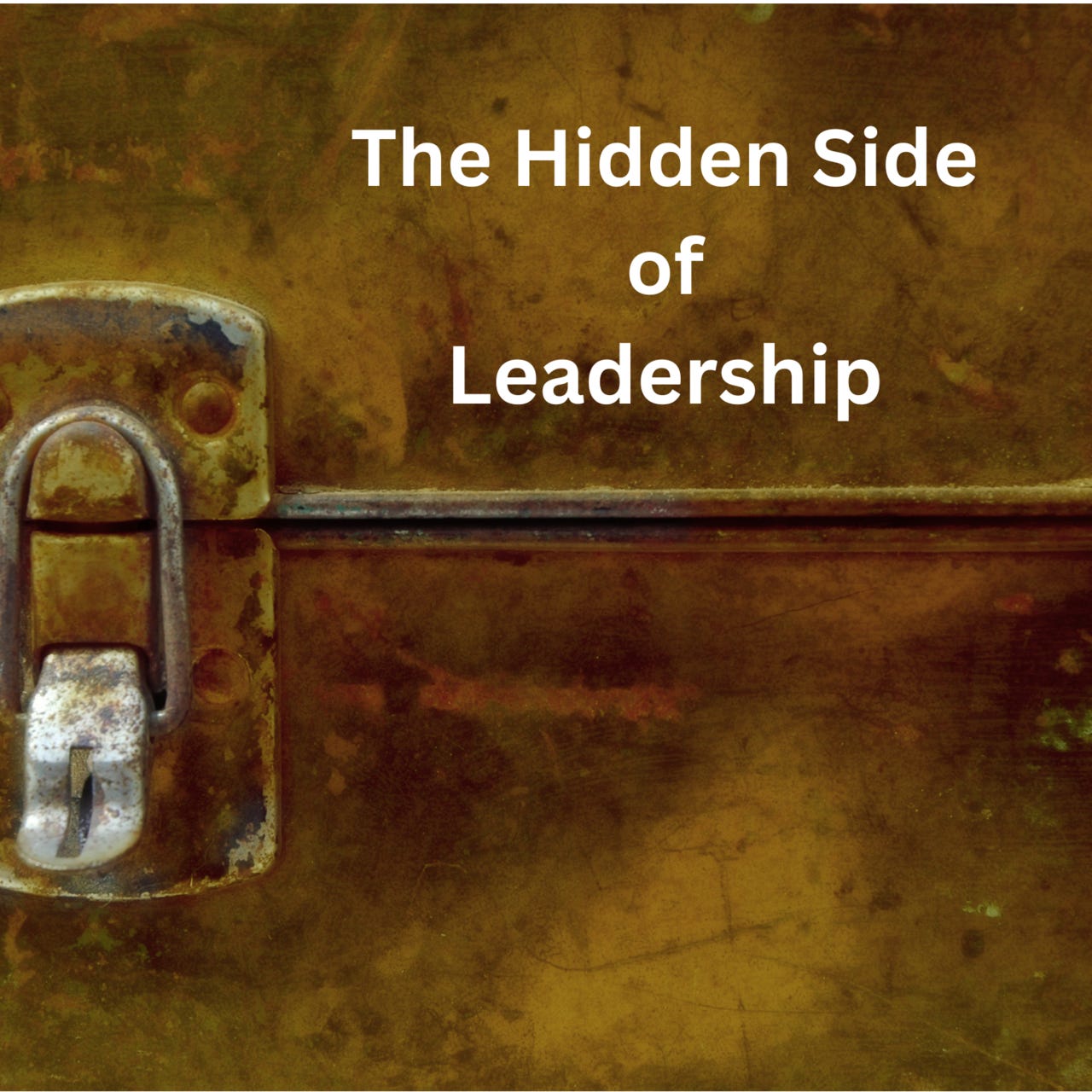 Rookie to Pro: The Hidden Side of Leadership logo