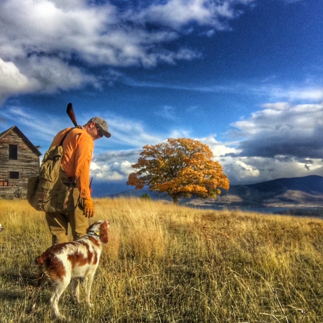 Born of a Montana Barstool (Weekend Read)