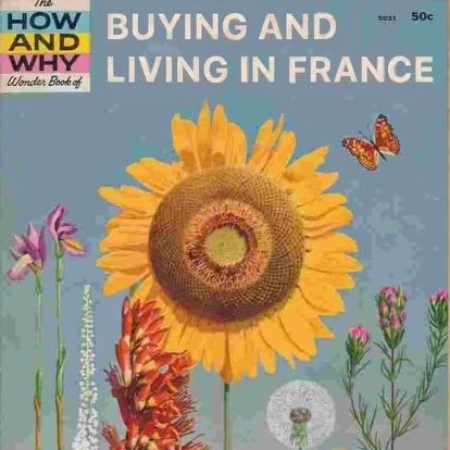 The How and Why Wonderbook of Buying and Living in France logo