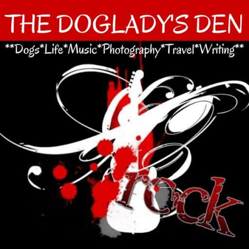 Artwork for THE DOGLADY'S DEN