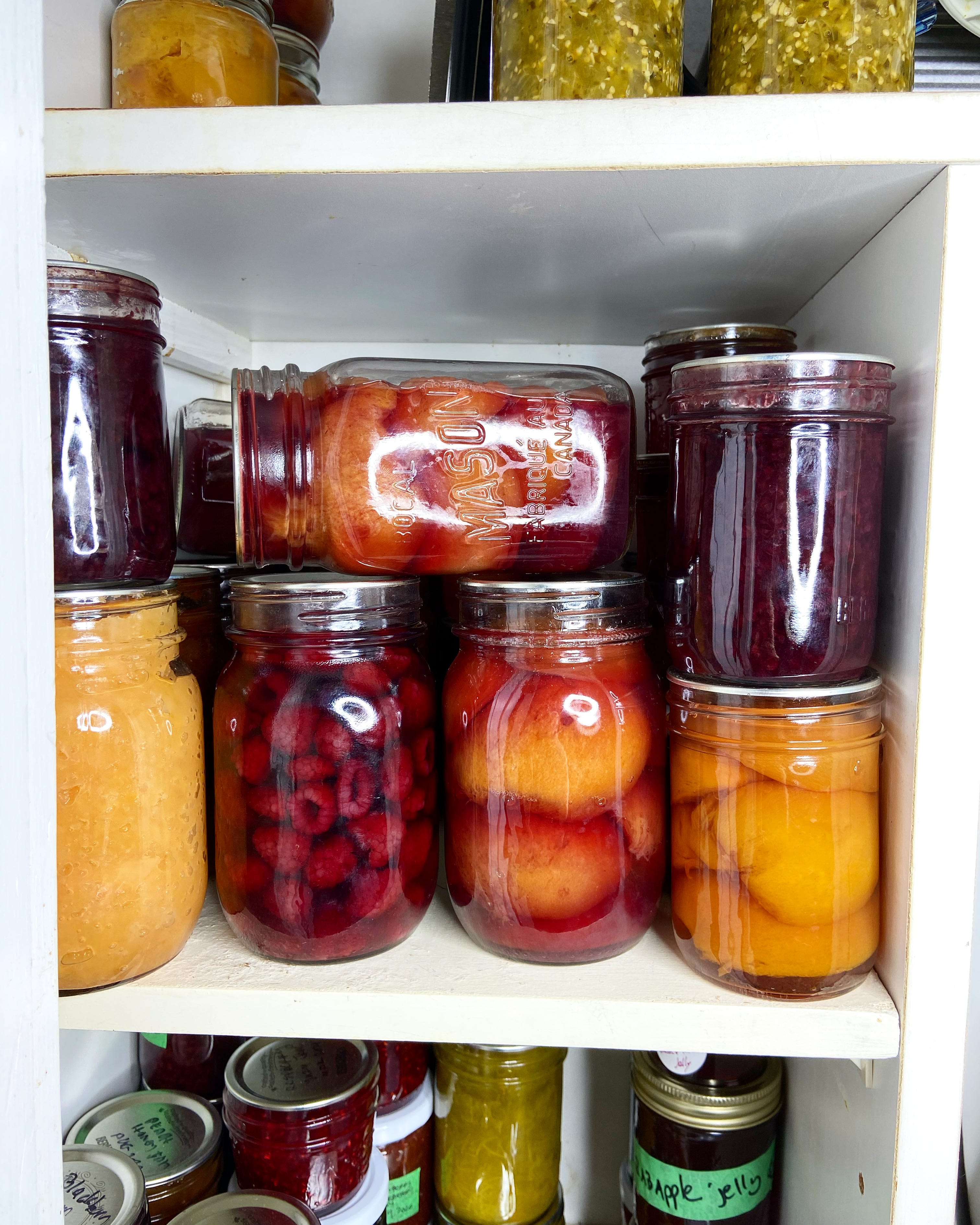 Best Canning and Food Preservation Equipment for Preserving Local