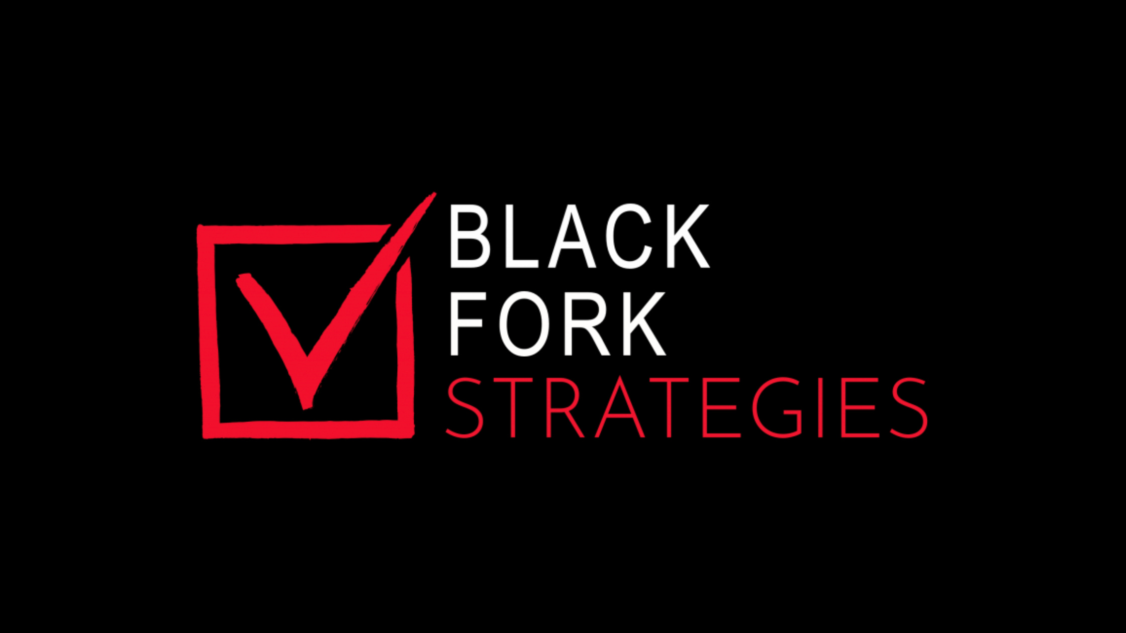 Black Fork Strategies,Youth Vote Manager