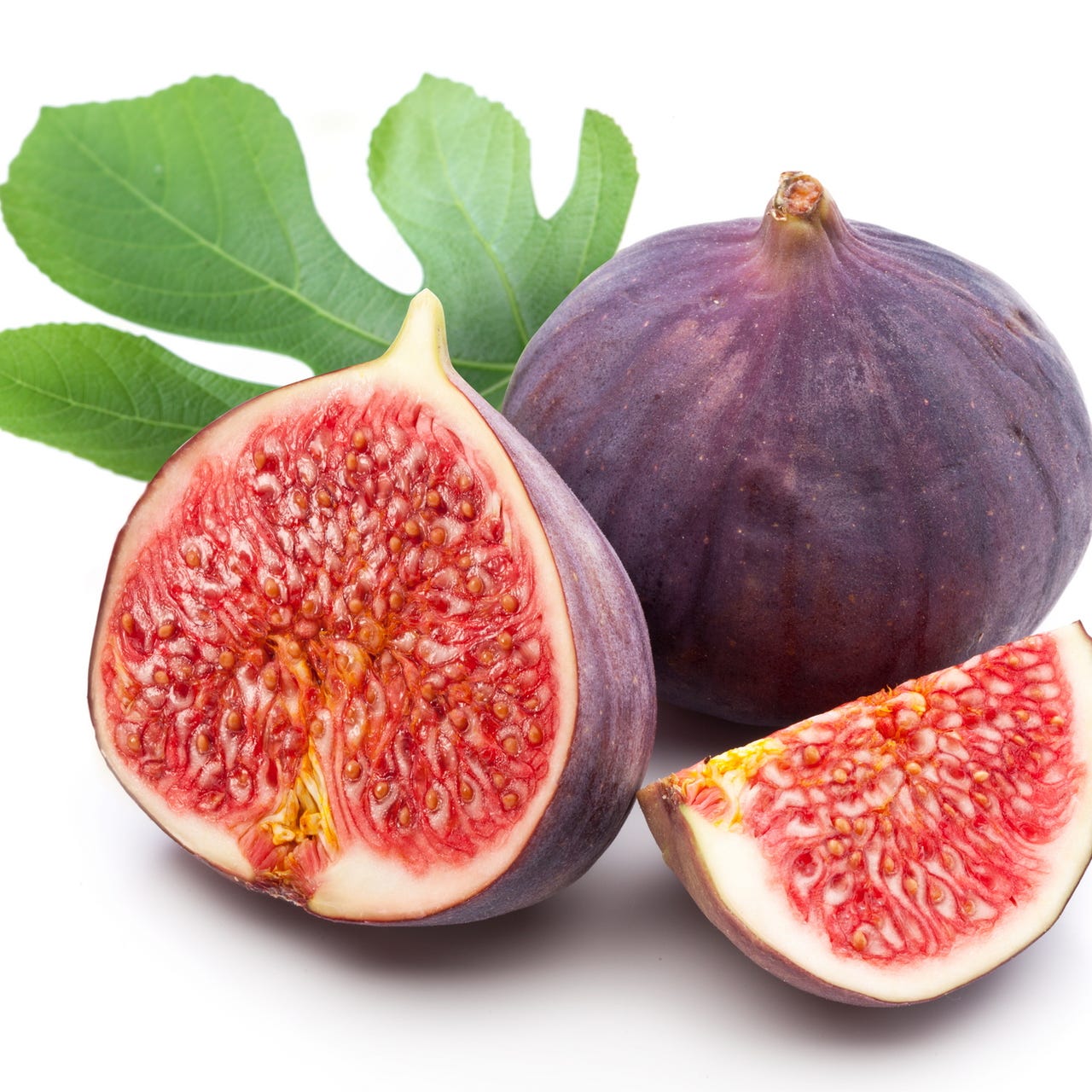 Figs in Winter: Stoicism and Beyond logo
