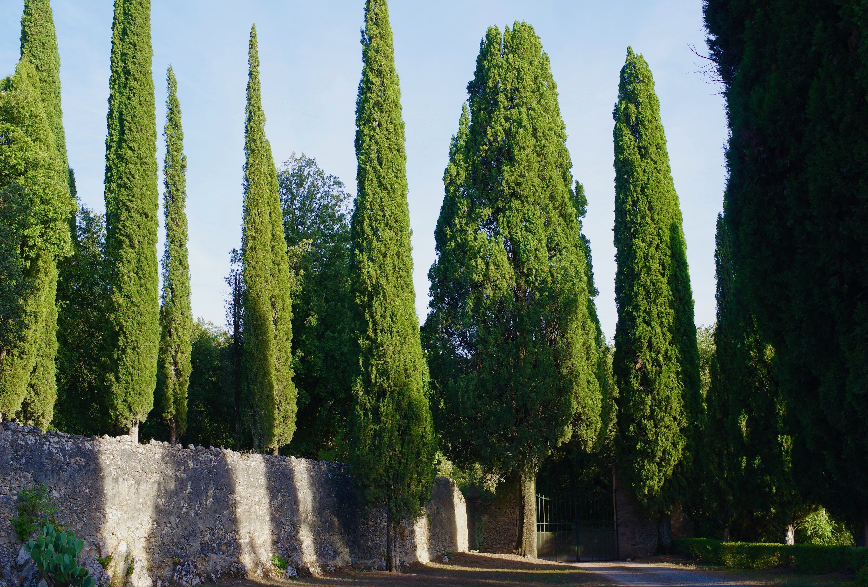 Tuscany Granite Stone Age