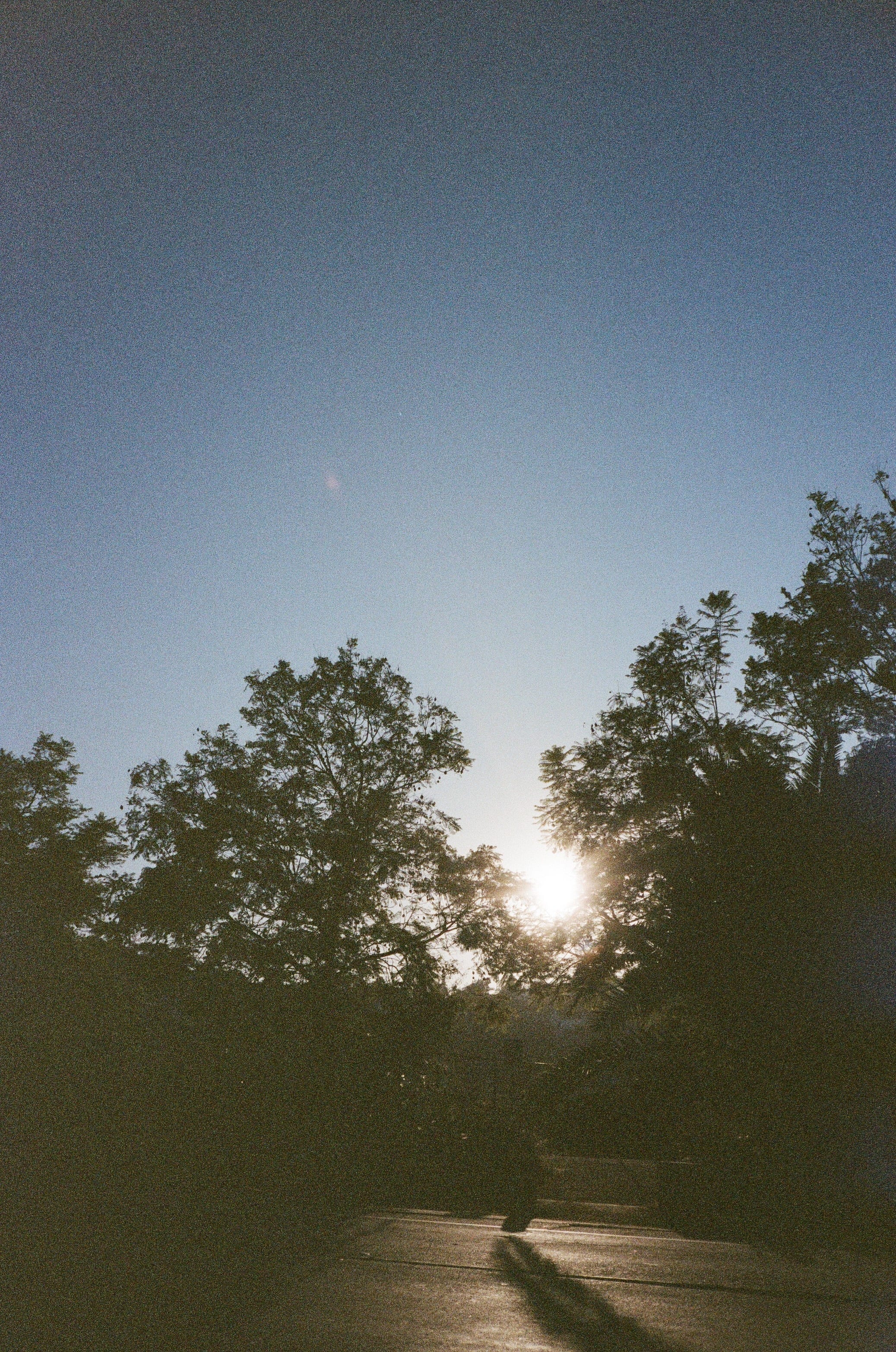 this is for me by devon this is for you